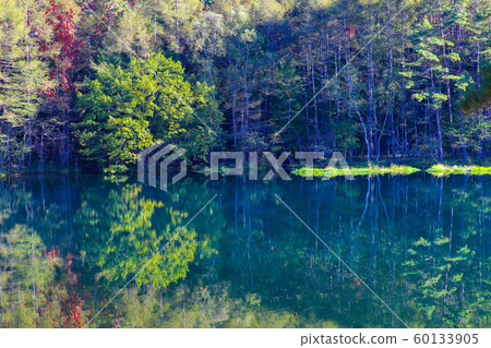 [Nagano Prefecture] Mikaka Pond in Autumn 60133905
