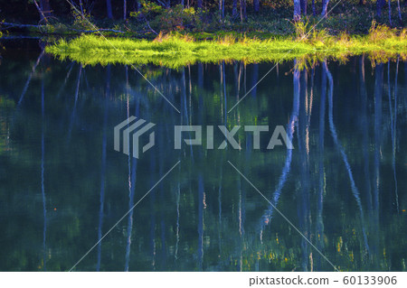 [Nagano Prefecture] Mikaka Pond in Autumn 60133906