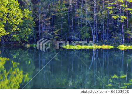 [Nagano Prefecture] Mikaka Pond in Autumn 60133908