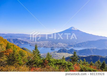 [山梨縣]從秋葉的新路看富士山和川口湖 60133928