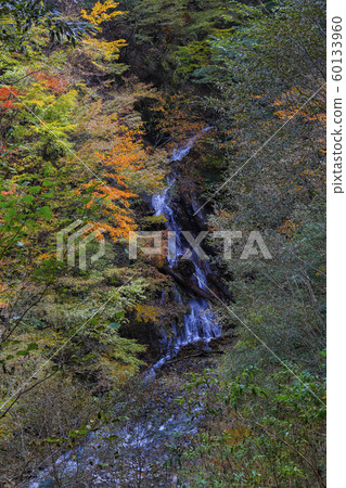[Yamanashi Prefecture] Nishizawa Valley in autumn colors Okubo Falls 60133960