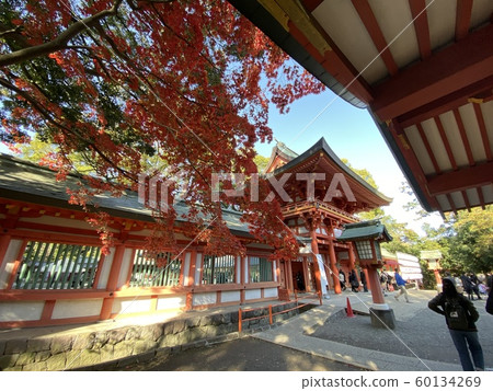 秋天的神社 60134269