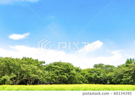Landscape with green and blue sky Landscape with green and blue sky 60134395