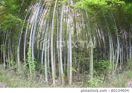 Bamboo chopsticks 60134604