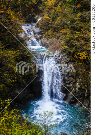 [Yamanashi Prefecture] Nishizawa Valley in autumn colors 60135200