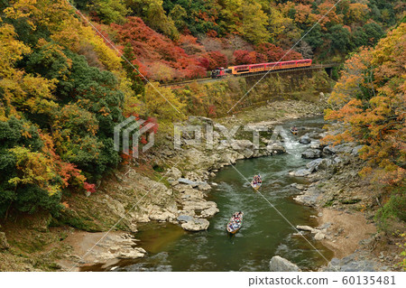 Autumn leaves of Hozu Gorge, trolley train and boat down Hozu River 60135481