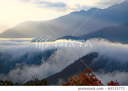 Jukai Line Edori-no-taki cloud 60135772