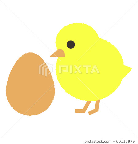 Chick, egg, illustration, bird, leap year 60135979