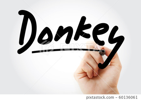 Hand writing Donkey with marker 60136061
