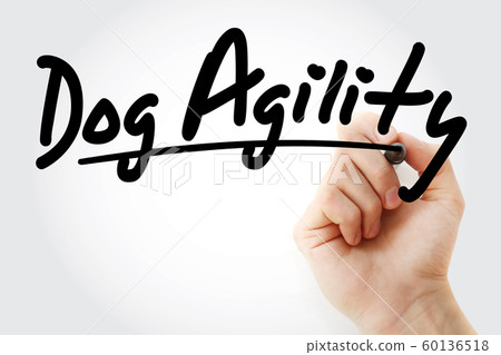 Hand writing Dog agility with marker Hand writing Dog agility with marker 60136518