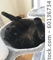 Terrible sleep 60136734