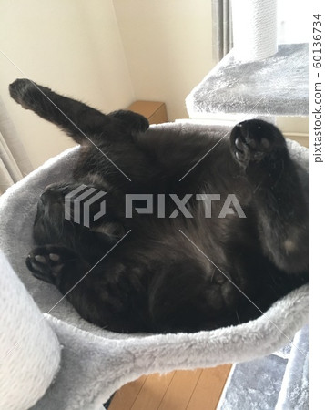 糟糕的睡眠 糟糕的睡眠 60136734