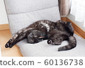 Sitting chair 60136738