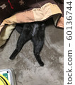 Bare 60136744