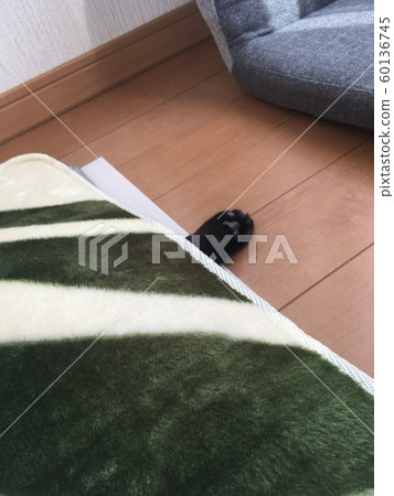Pad Pad 60136745