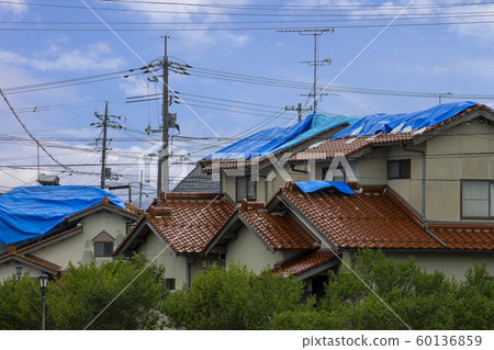 有藍色板料的損壞的房子在屋頂 60136859