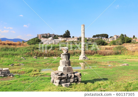 Column and ruins of Temple of Artemis Ephesus, 60137305