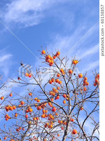 Azure and autumn sky-14728 Azure and autumn sky-14728 60138857