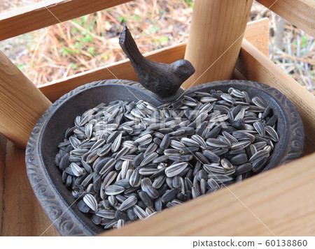 Bird feeder Bird feeder 60138860