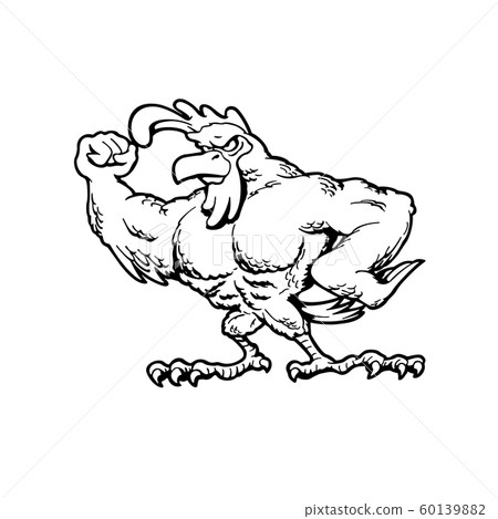 Muscular chickens . Animal cartoon character .... - Stock Illustration  [60139882] - PIXTA
