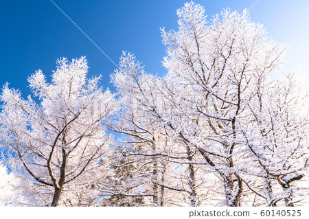 Foggy ice / silver forest 60140525