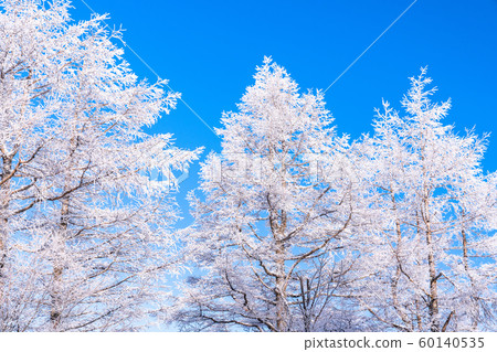 有霧的冰/銀色森林 60140535