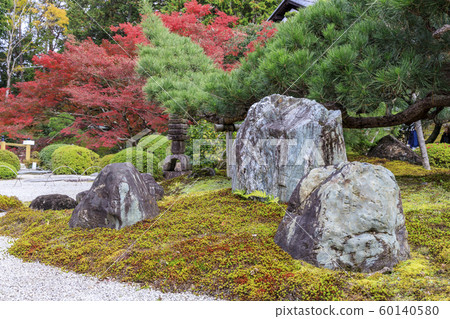 Kimaki Komyoji Temple Autumn leaves 60140580