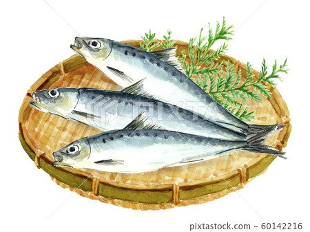 Watercolor sardine Watercolor sardine 60142216