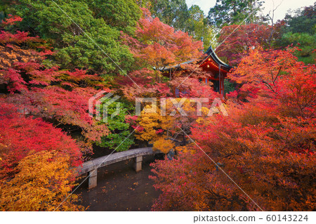Bishamondo Temple with red maple leaves or fall Bishamondo Temple with red maple leaves or fall 60143224