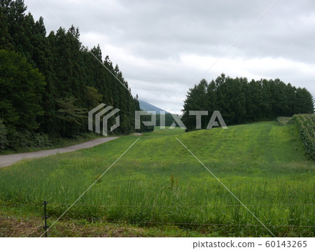 Koiwai Farm Tractor Train Tour Koiwai Farm Tractor Train Tour 60143265