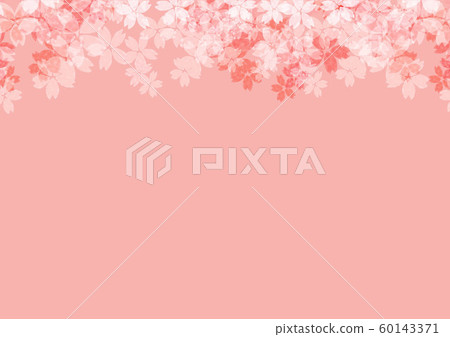 Cherry blossom, spring illustration Cherry blossom, spring illustration 60143371