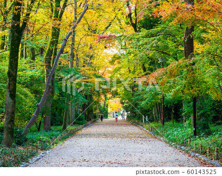 京都下鴨神社在秋天 60143525