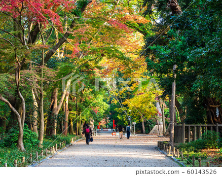 Kyoto, Shimogamo Shrine in autumn Kyoto, Shimogamo Shrine in autumn 60143526