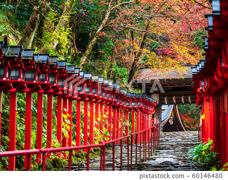 Autumn Kyoto Kifune Shrine Sando stone steps Autumn Kyoto Kifune Shrine Sando stone steps 60146480