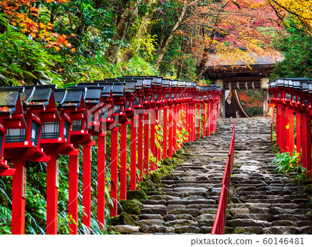 Autumn Kyoto Kifune Shrine Sando stone steps Autumn Kyoto Kifune Shrine Sando stone steps 60146481