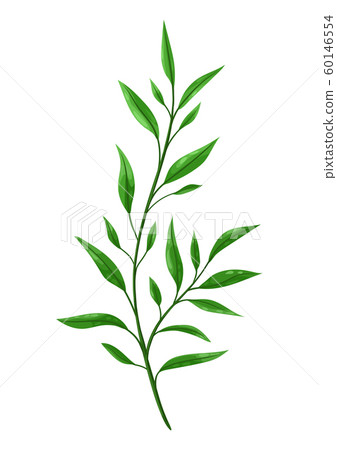 Illustration of sprig with green leaves. 60146554