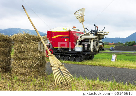 Weeding work image Weeding work image 60146613