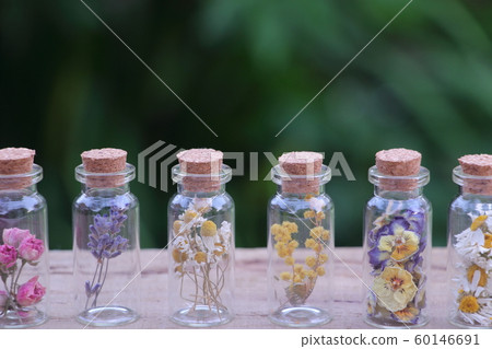乾花 乾花 60146691