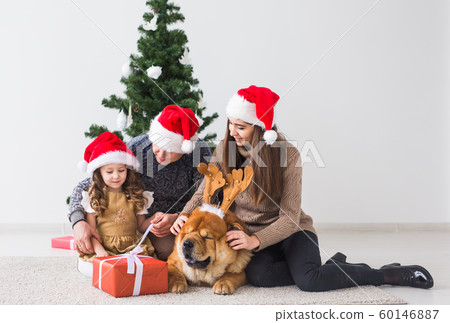 Pet, holidays and festive concept - Family with dog are sitting on floor near christmas tree. 60146887