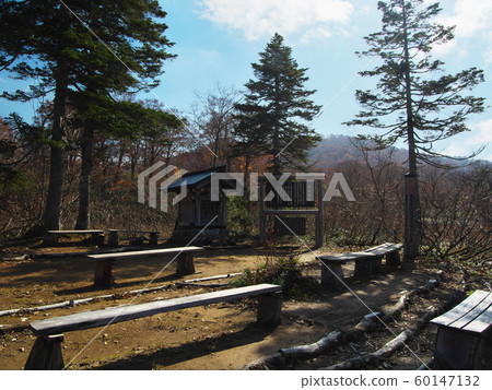 Tianjin Marshland Takumi Shrine 60147132
