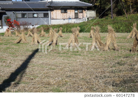 稻草架 60147278
