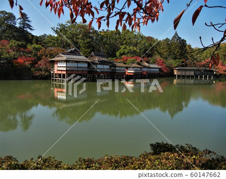 京都長岡天滿宮 京都長岡天滿宮 60147662