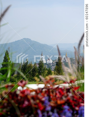 Statue big buddha on hill with beauty flowers Statue big buddha on hill with beauty flowers 60147896