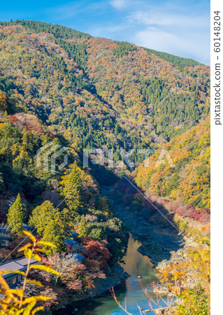 從嵐山公園展望台眺望秋天的保祖峽谷 60148204