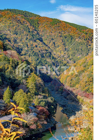 從嵐山公園展望台眺望秋天的保祖峽谷 60148205