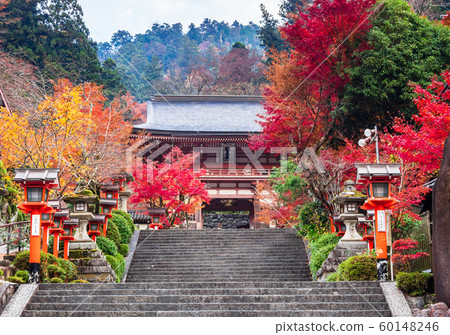尼奧門，倉馬寺，秋天在京都 60148246