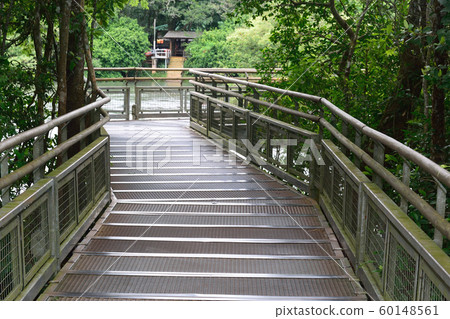 Iguazu Falls promenade 60148561