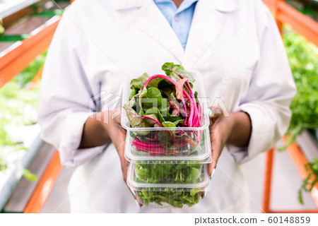 Fresh beet leaves in plastic container on top of stack held by young agronomist Fresh beet leaves in plastic container on top of stack held by young agronomist 60148859