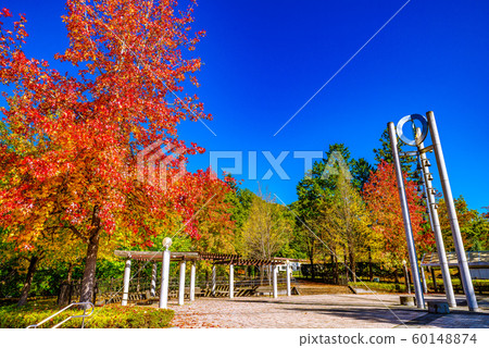 秩父繆斯公園銀杏樹[Sa玉縣] 60148874