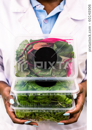 Three plastic containers with organic food held by African greenhouse worker 60148906